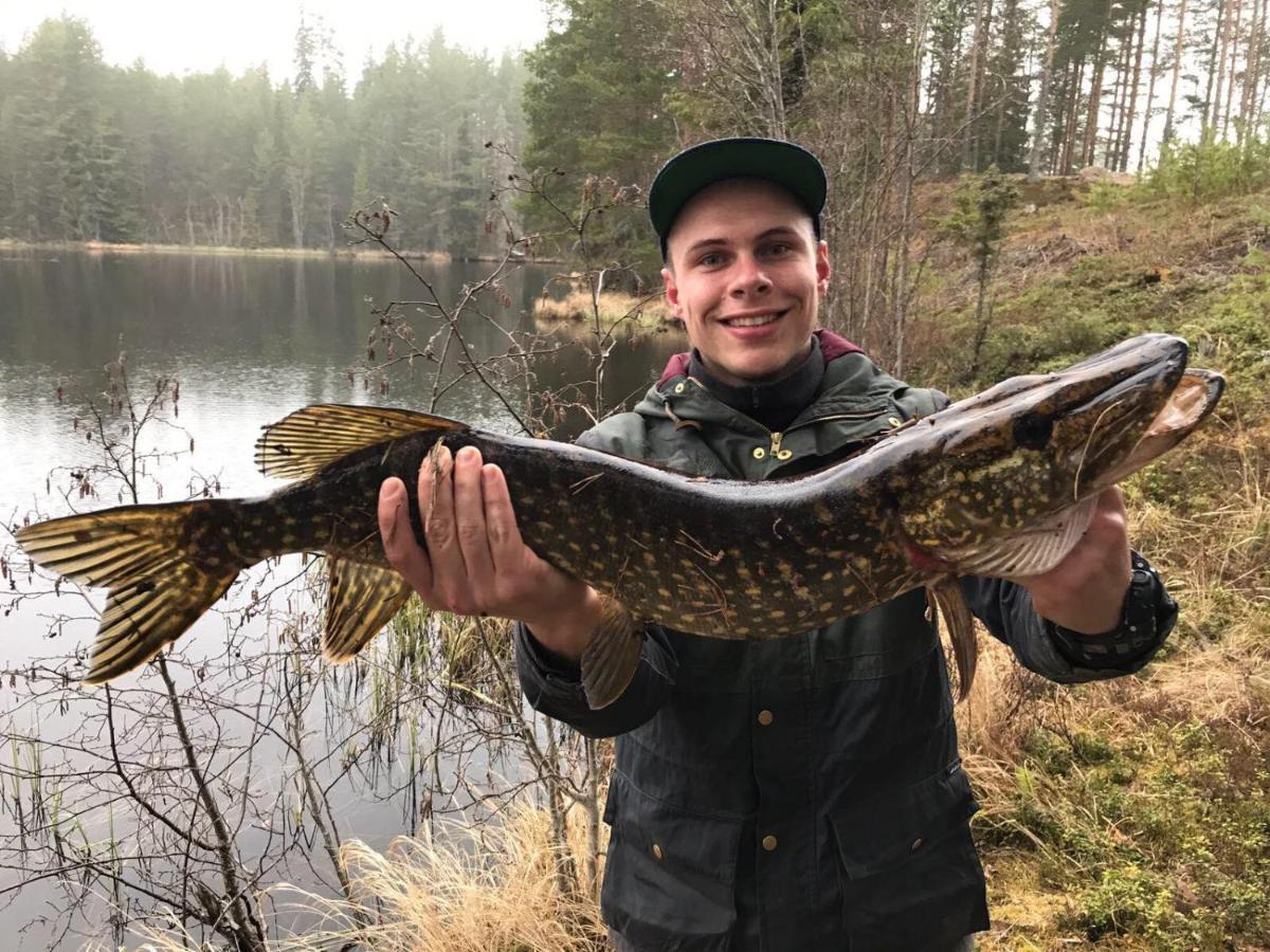 Enskvarn wilderness outside Rättvik Exteriör bild