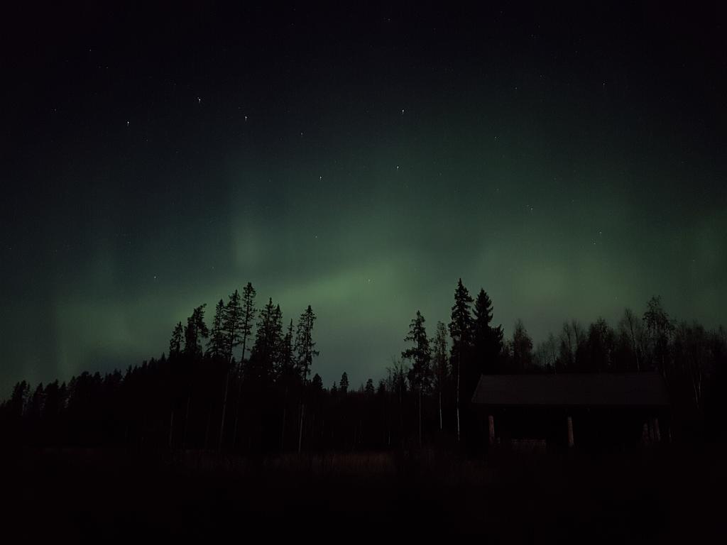 Enskvarn wilderness outside Rättvik Exteriör bild