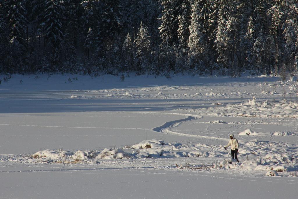 Enskvarn wilderness outside Rättvik Exteriör bild