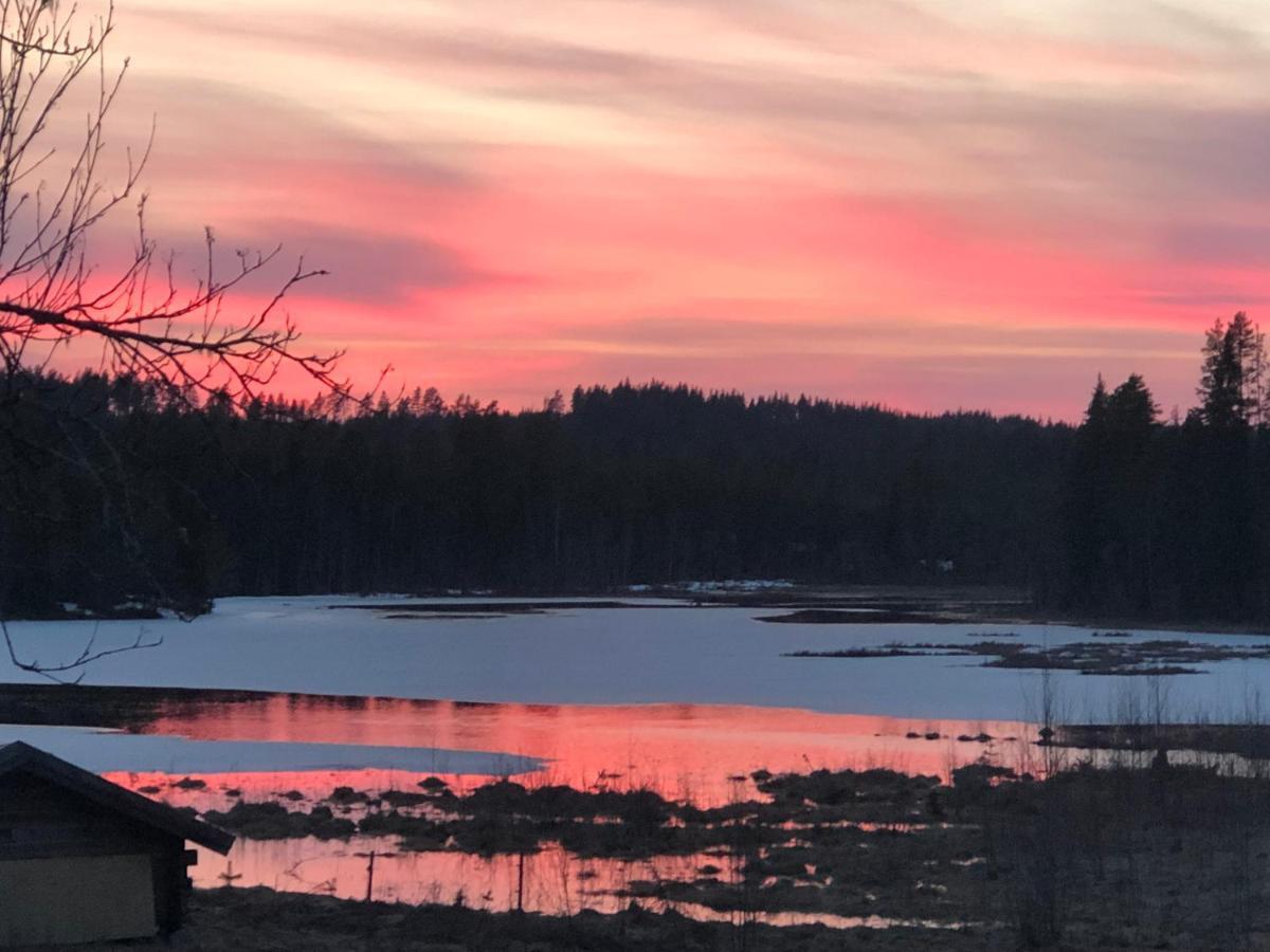 Enskvarn wilderness outside Rättvik Exteriör bild